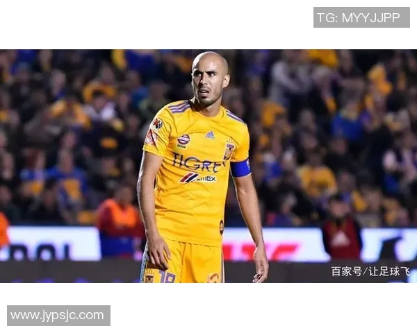 不同类型球迷对足球明星的偏爱分析与探讨 不同类型球迷对足球明星的偏爱分析与探讨