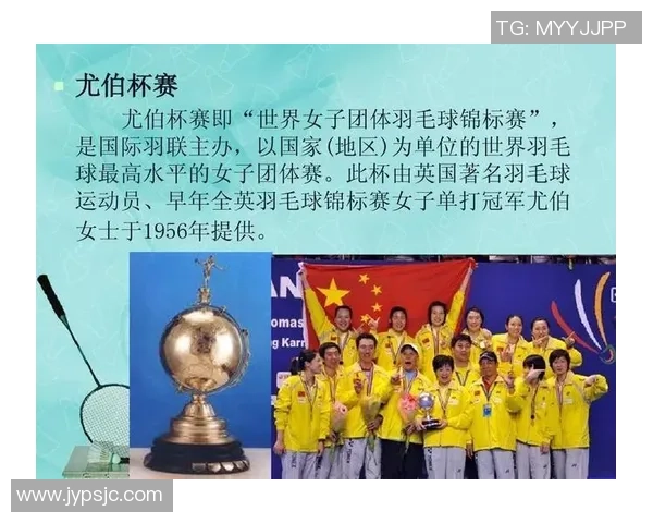 深圳羽毛球队杯赛战术解析与表现评估分析 深圳羽毛球队杯赛战术解析与表现评估分析