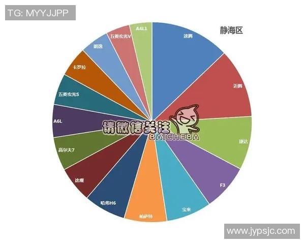 独家分析：西安篮球队的战术对比
