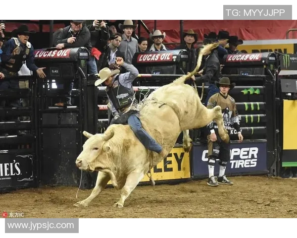 2026极限运动节奏排行榜：杭州极限运动队位居第9名